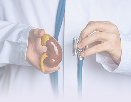 Male doctor in white coat holding stethoscope to kidney representing urology and male health nursing CEUs
