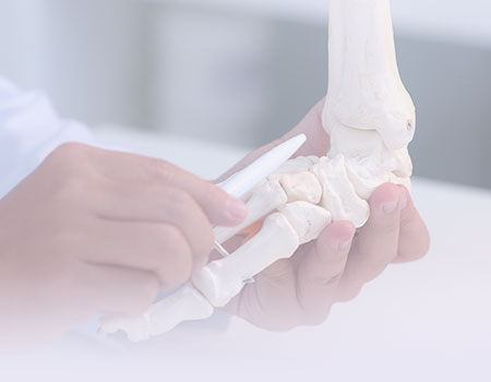 Medical professional holding skelleton foot and ankle representing orthopedic nursing CEUs