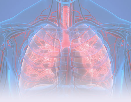 X-ray of lungs showing also blood vessels representing respiratory and pulmonary nursing CEU