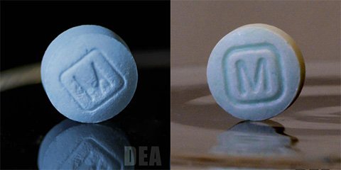 Photographs of an authentic and a counterfeit oxycodone tablet