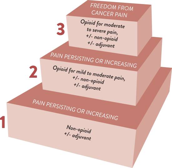 Graphic showing three steps in medicating pain at end of life