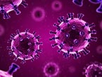 Purple drawing of the COVID-19 virus in different sizes
