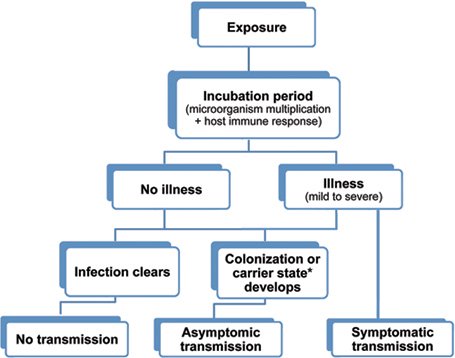 Flowchart illustrating pathways of infection and possible outcomes.