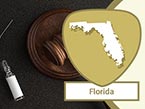 Dark wood gavel, ampoule and needle representing medical errors laying on dark surface and Florida state outline