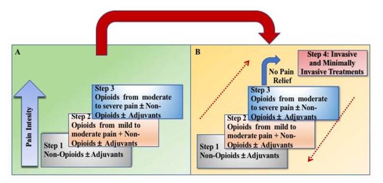 Revised 4-step WHO analgesic ladder
