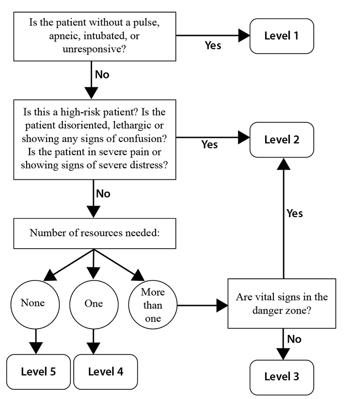 Emergency severity index (ESI) flowchart for assessment of potential stroke victim