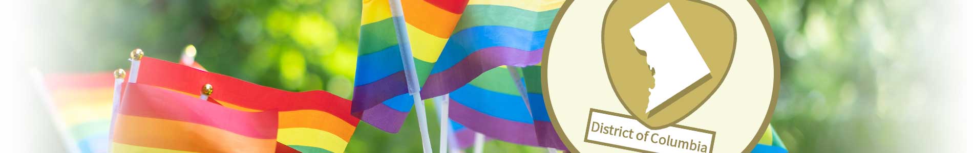 Many hands holding up rainbow flags with a lush green outdoors background and Washington DC District of Columbia icon