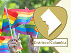 Many hands holding up rainbow flags with a lush green outdoors background and Washington DC District of Columbia icon