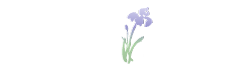 Wild Iris Medical Education, Inc. Logo